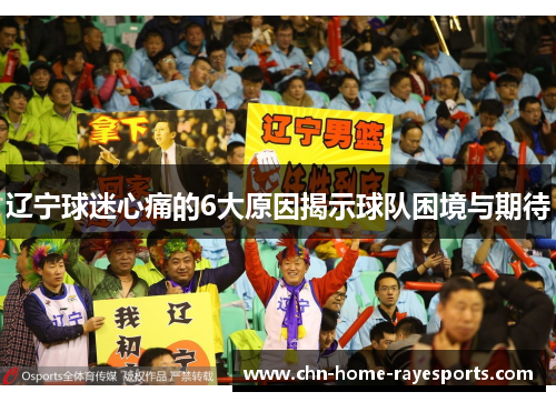 辽宁球迷心痛的6大原因揭示球队困境与期待 辽宁球迷心痛的6大原因揭示球队困境与期待