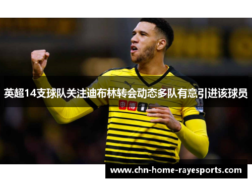 英超14支球队关注迪布林转会动态多队有意引进该球员 英超14支球队关注迪布林转会动态多队有意引进该球员